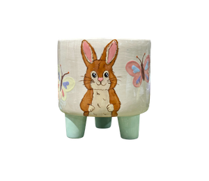 Dublin Hoppy's Garden Planter